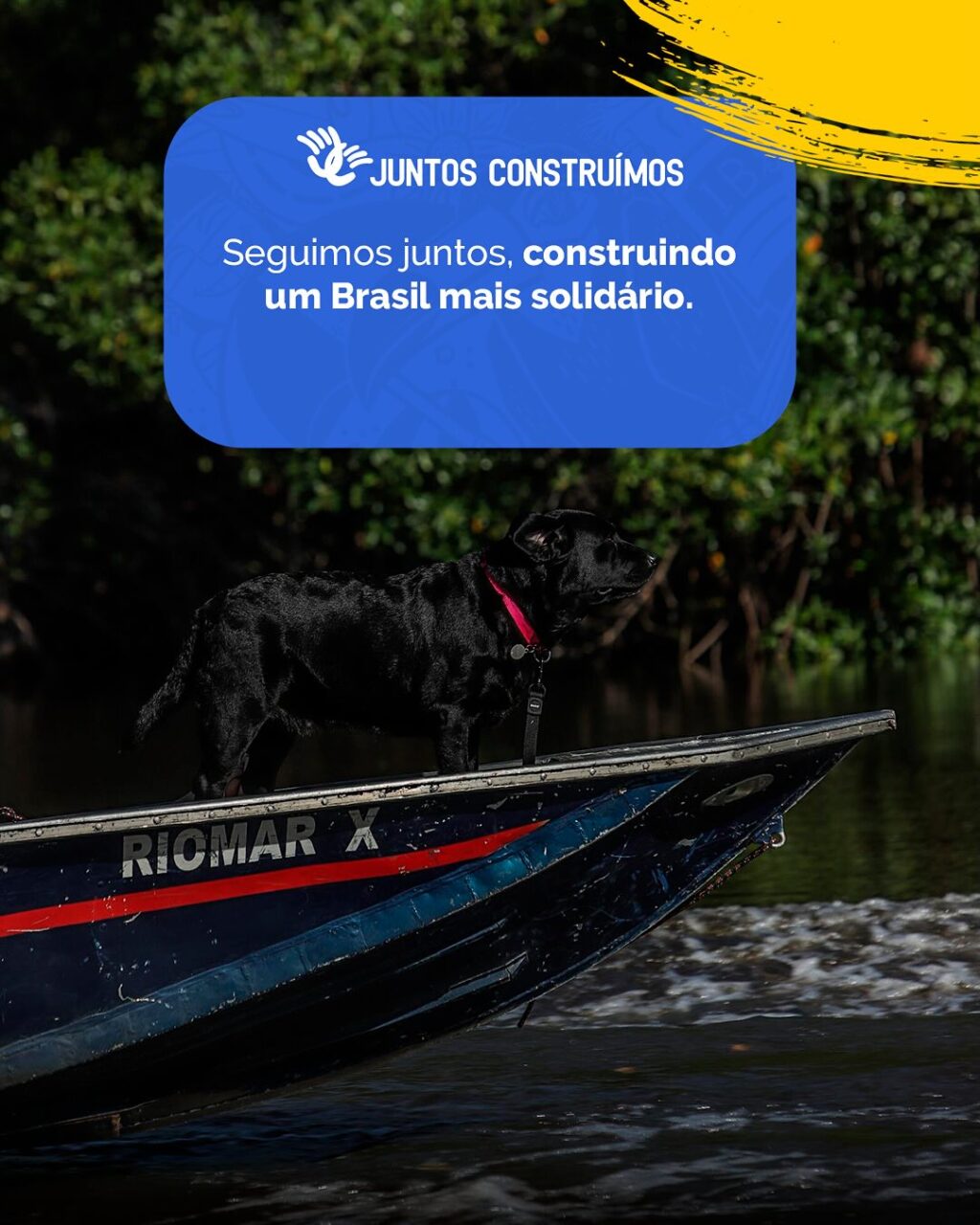 Instagram post from brasilsolidario. This post is in position 10.